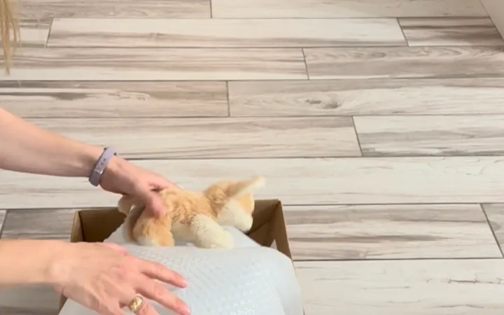 Trash Bag Catapult: A 15-Minute Toddler Gross Motor Activity (Ages 2-4)